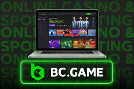 A Comprehensive Guide to BC.Game RO Payments