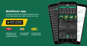 BetWinner Casino and Sportsbook Your Ultimate Betting Destination