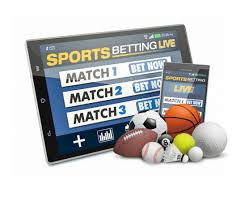 Betwinner L'Expérience de Paris Sportifs Élevée