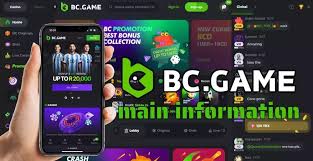 Exploring the BC.Game App A Comprehensive Guide for Nigerian Players