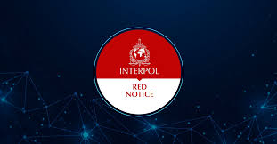 Understanding Interpol Legal Help Navigating International Law 1337865582