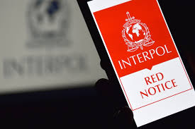 Understanding Interpol Legal Help Navigating International Law 1337865582