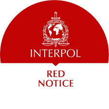 Understanding Interpol Legal Help Your Guide to Navigating International Law 1341189551